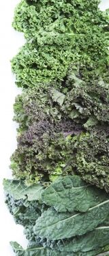 Kale cabbage leaves green vegetable mag2016 2 200 470