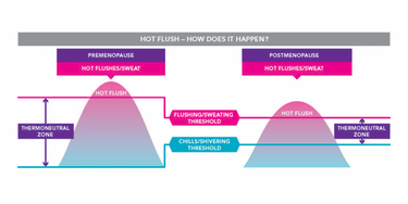Hot flushes infographic 800 400