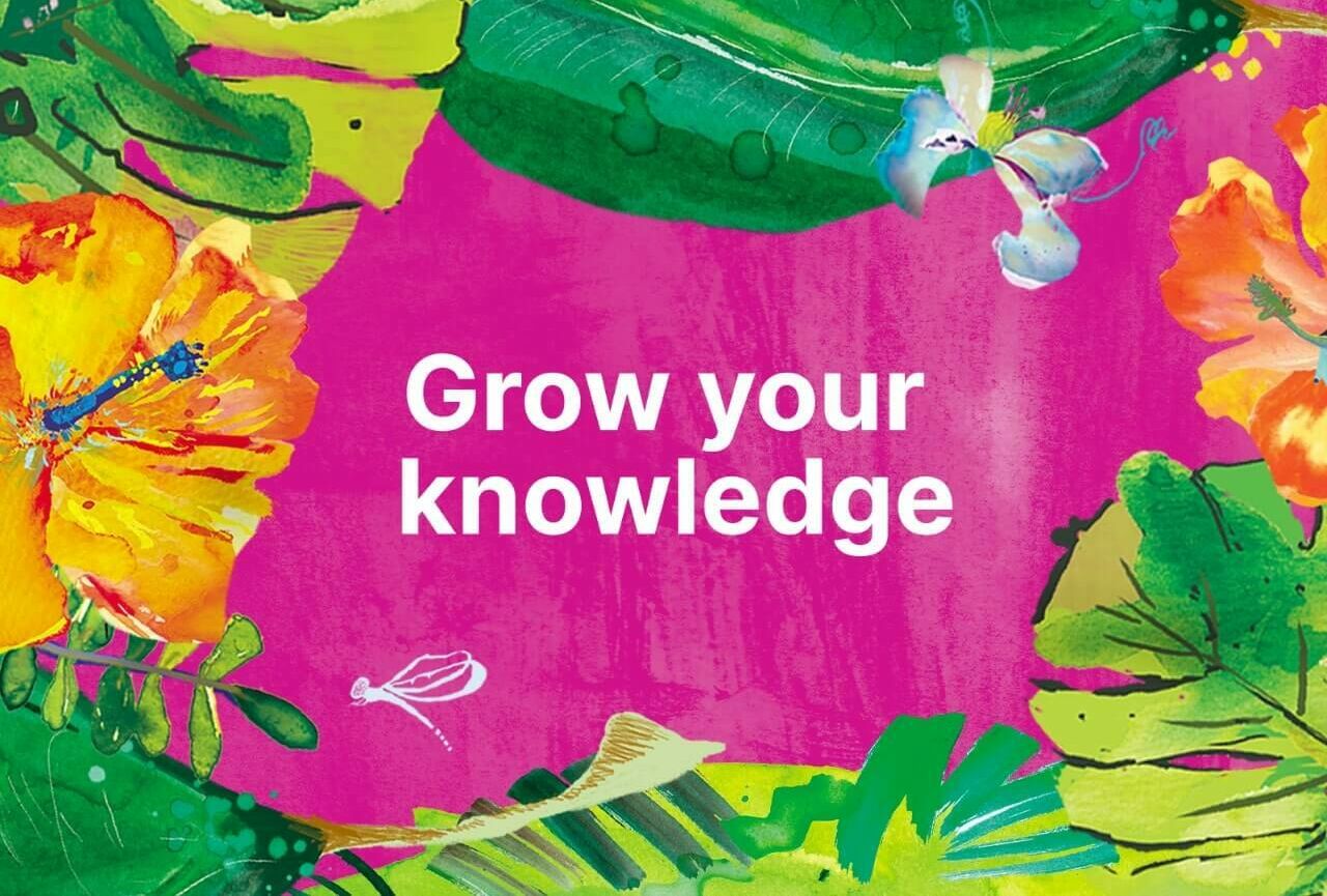 Grow your knowledge