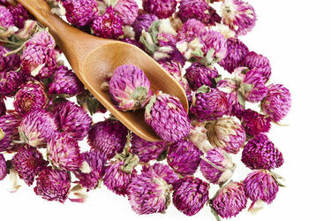 Picture of red clover