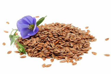 Linseed flax seeds with flower