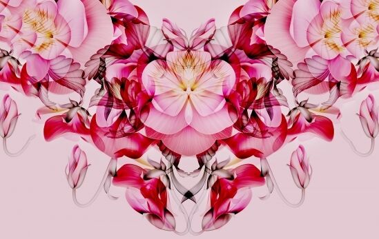 Illustration pink flowers 600 347