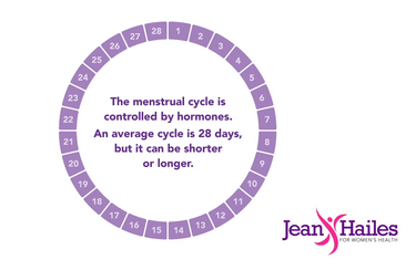 The menstrual cycle - menstrual clock animation
