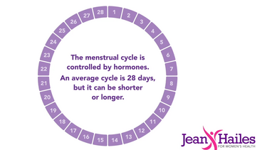 The menstrual cycle - menstrual clock animation