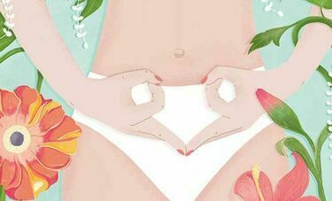 Vulva booklet illustration