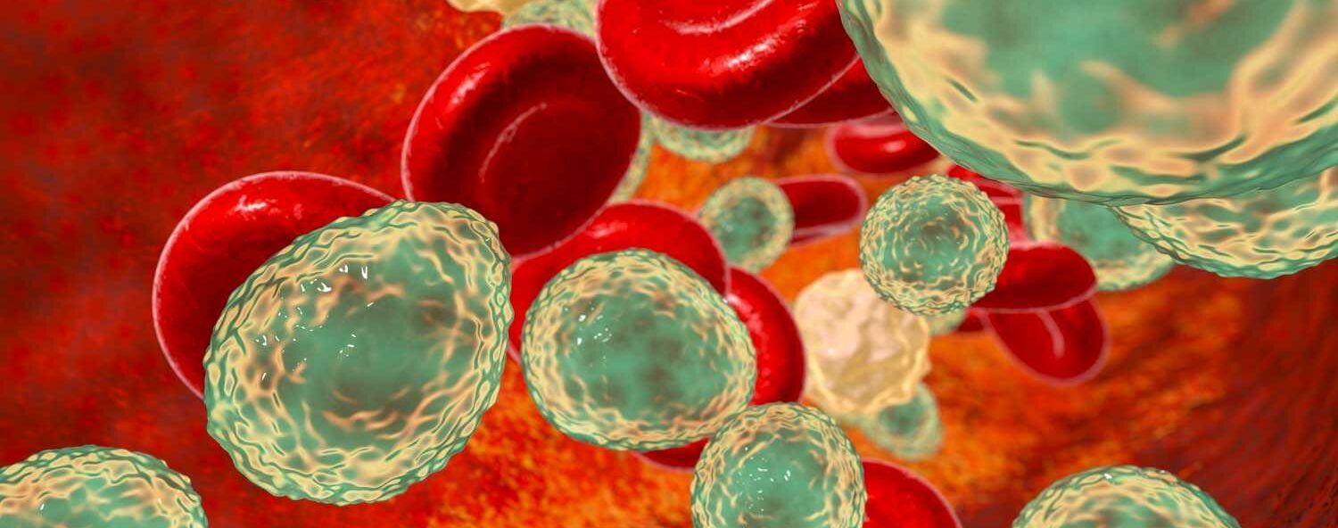 Candida fungi in blood stock photo