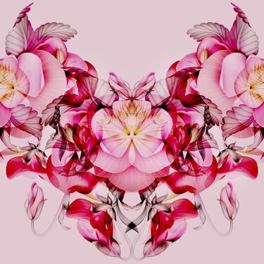 Illustration pink flowers vagina