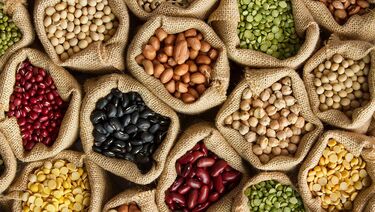 Bags of pulses legumes