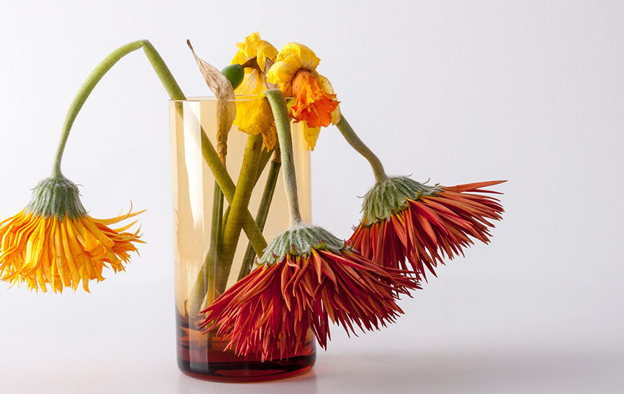 Drooping flowers in a vase