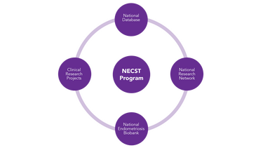 NECST program outline graphic16 9
