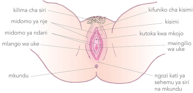Diagram of the vulva with Swahili labels