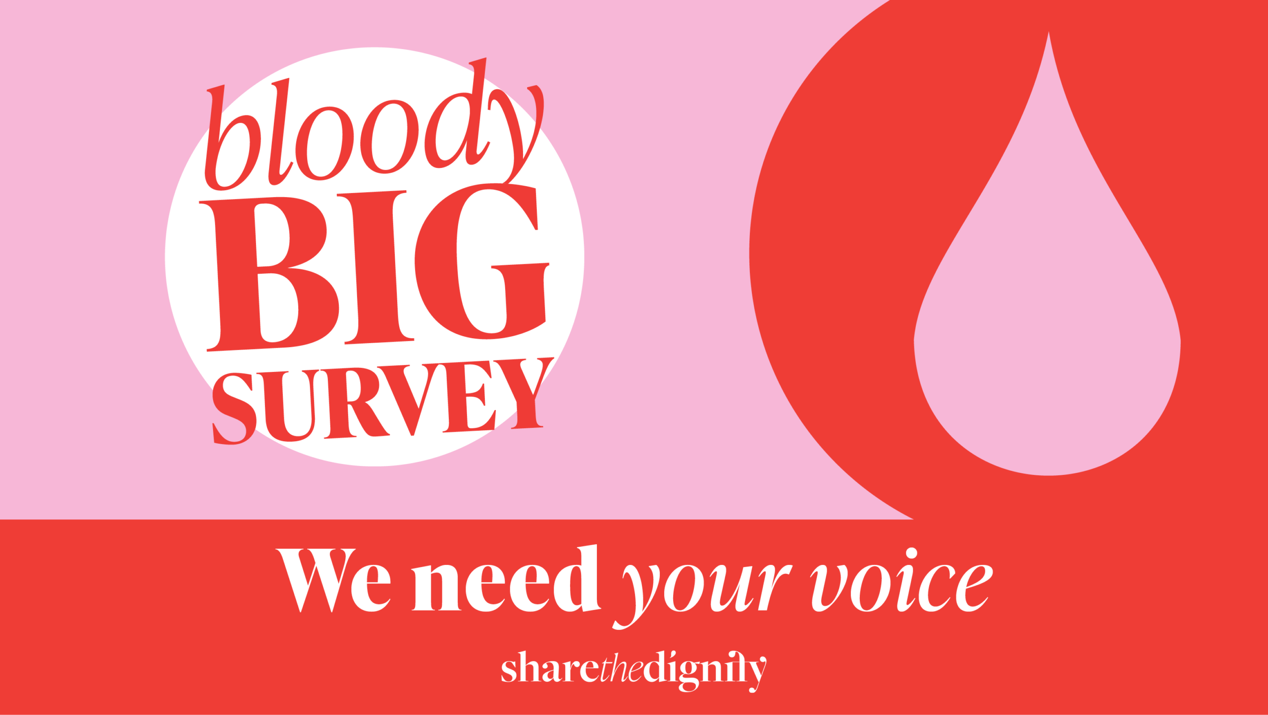 Share the dignity bloody big survey logo
